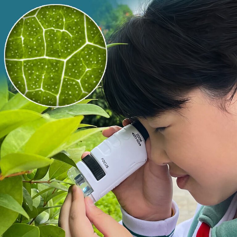 Naujoviškas nešiojamas mini mikroskopas vaikams su LED šviesa Užsisakykite Trendai.lt 14