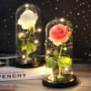 Šviečianti Rožė Stikle Dekoratyvinė Lempa Užsisakykite Trendai.lt 49
